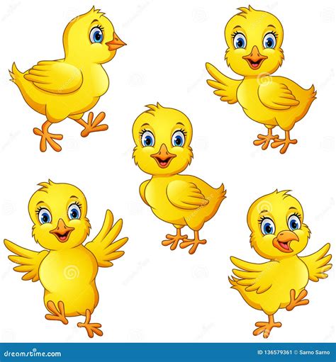 Cartoon Little Chicks Collection Set Stock Vector Illustration Of