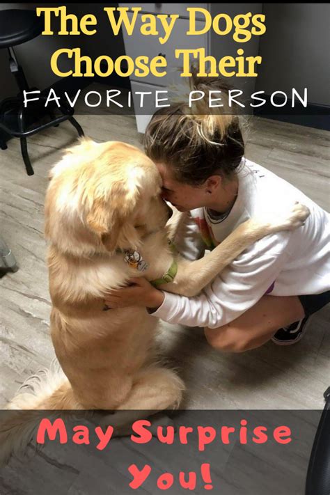 How Do Dogs Choose Their Favorite Person Dogspaceblog Dog Training