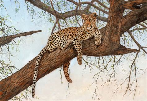 Leopard In Tree Beautiful Wall Mural Photowall