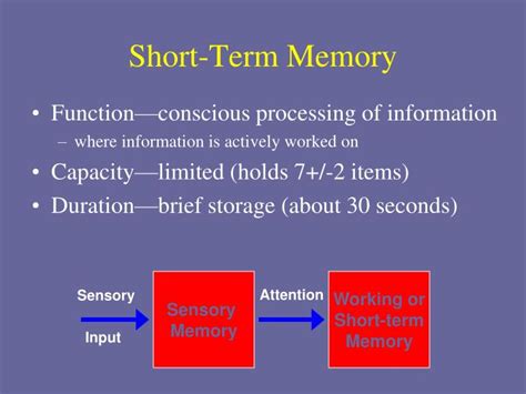 Ppt Stage Model Of Memory Powerpoint Presentation Id2594519