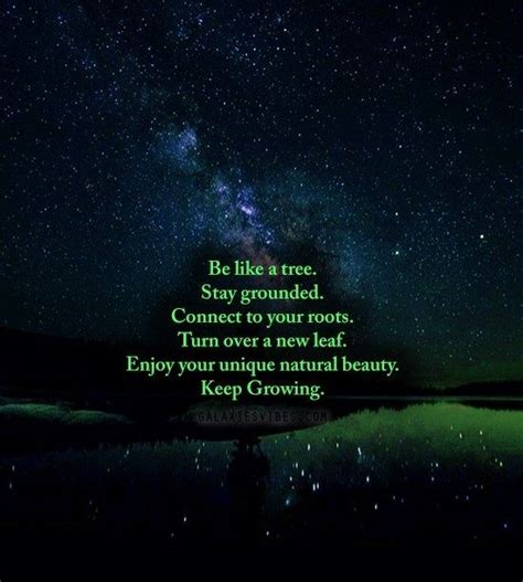 Be Like A Tree Stay Grounded Connect To Your Roots Turn Over A New