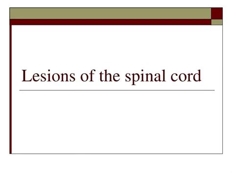 Ppt Lesions Of The Spinal Cord Powerpoint Presentation Free Download