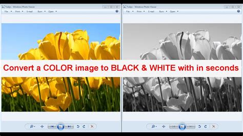 Convert A Color Image To Black White With In Seconds Youtube