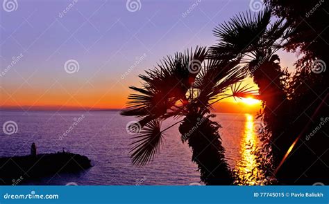 Sunset Palm Trees Lighthouse Silhouettes Stock Photos Free And Royalty