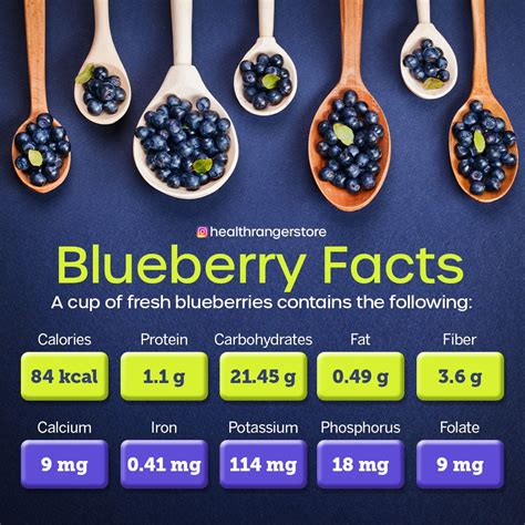 Blueberry Nutrition Fact Twin Fruit
