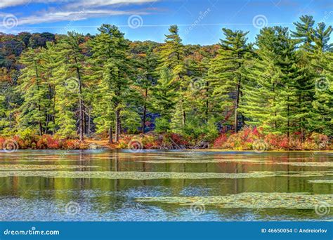 Colorful Fall Scenery View At Sunset Stock Photo Image Of River