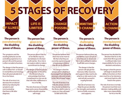 The Five Stages Of The Recovery Process