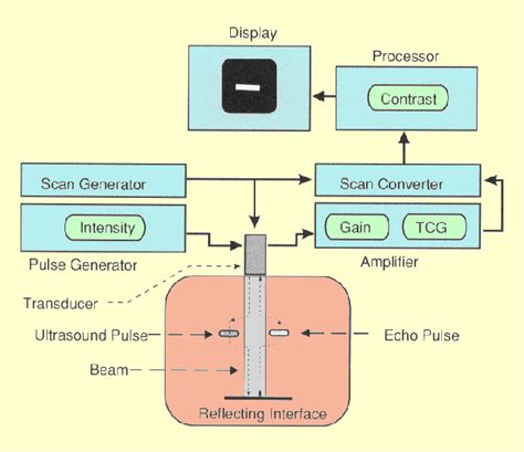 Every probe has a marker on its side, which concurs in a standardized way with the left side of the image when performing an ultrasound. Ultrasound Production and Interactions