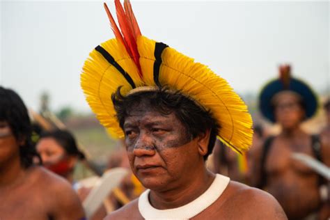 Deforestation Soars 40 In Xingu River Basin In Brazilian Amazon