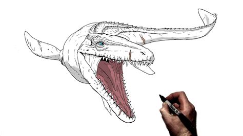 How To Draw Mosasaurus Step By Step Jurassic World Youtube