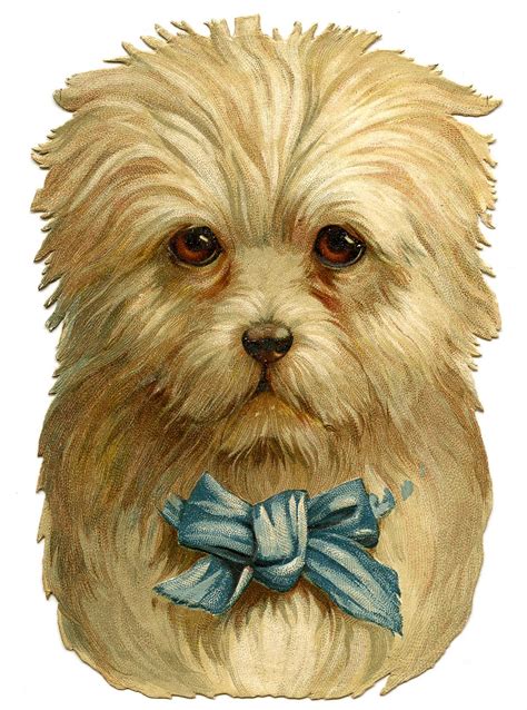 John wolf art advisory & brokerage. Vintage Clip Art- Darling Dog with Bow - The Graphics Fairy