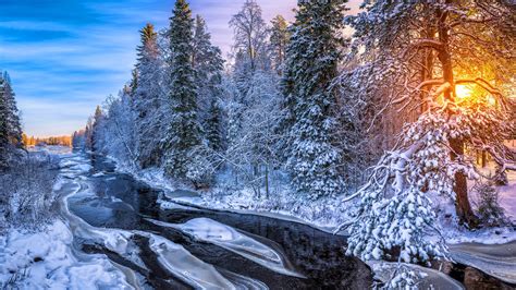 Snow Covered Trees Forest And River Frozen During Sunrise Hd Nature