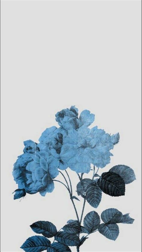 Aesthetic Blue Flower Wallpaper Desktop