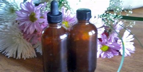 Tincture is an increasingly popular way of applying treatments that use cbd. How to Make a Homemade Chamomile Tincture herbsandoilshub ...