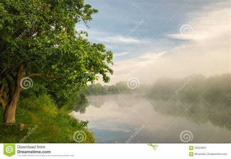 Foggy Early Morningriver Bank Stock Image Image Of Early Landscape