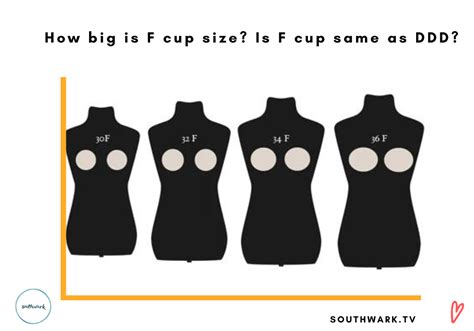 how big is f cup size is f cup same as ddd southwark tv