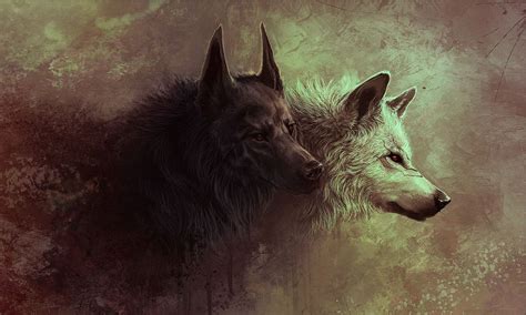 Amazing Wolf Art Wolf Background Wolf Artwork Wolf Wallpaper