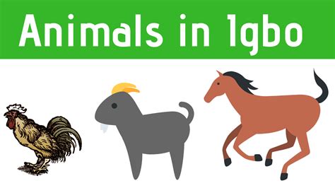 List Of Mammals 50 Popular Mammal Names With Examples