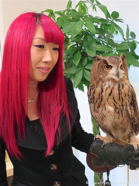 Owl Cafe Opens In Fukuoka Fukuoka Now