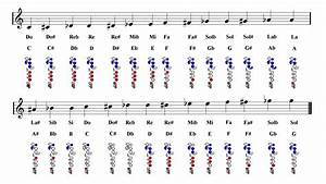 Flute Notes Chart Easy Music