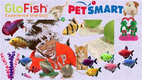 Petsmart Get To Know Glofish Fish And Other Pets Youtube