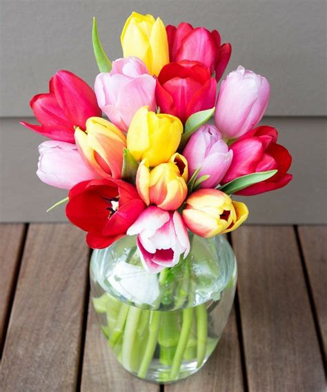 Sunny Tulips 15 Stems Tulips Clear Glass Vases Floral Decor