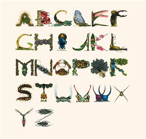 This Insect Alphabet Took Me 2 Years To Complete Alphabet