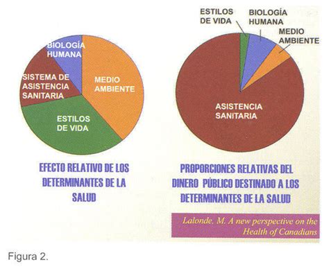 Hacia Una Nueva Salud Pública Determinantes De La Salud