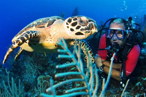 Dominican Republic Scuba Diving Sites Seapro Divers