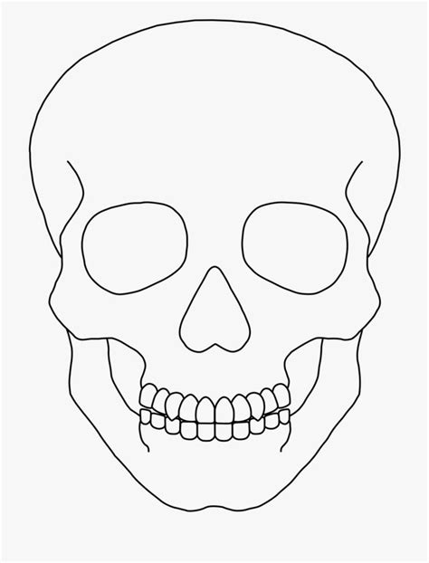 Human Skull Drawing Skulls Drawing Skull Painting Art Painting How