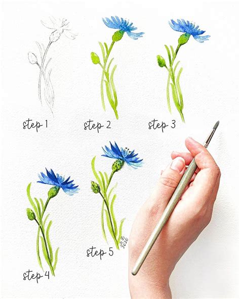 Easy Step By Step Watercolor Tutorials For Beginners Beautiful