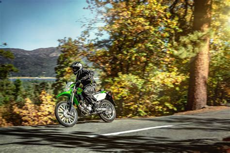 2021 Kawasaki KLX 300 Dual Sport revealed, perfect for Indian road conditions | Shifting-Gears