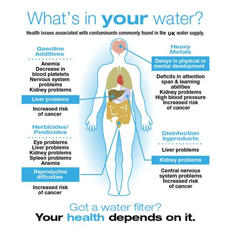 However, it doesn't stop here. Benefits - Wellness Water Filters
