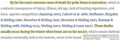 Polar Opposite Polar Bears Require Thin Ice Or Open Water To Survive
