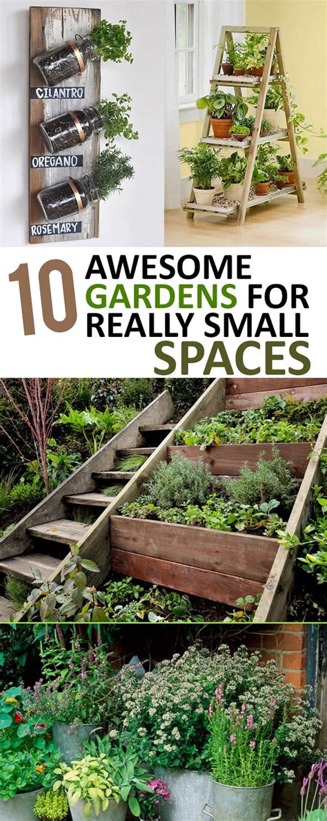 10 Awesome Gardens For Really Small Spaces Gardening Viral