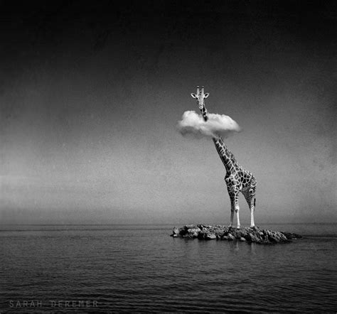 Un lenzuolino è di colore bianco con stampa allover di piccoli pois grigi, l'altro è grigio con stampa allover di piccole. Dreamlike B&W Photo Manipulations By Sarah DeRemer | DeMilked