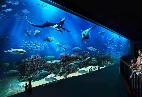 รีวิว Marine Life Park สิงคโปร์ ตอนที่1 เที่ยว Sea Aquarium อควา