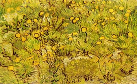 A Field Of Yellow Flowers 1889 Vincent Van Gogh
