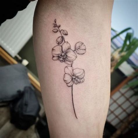 Orchid Flower Tattoo Meaning Best Flower Site