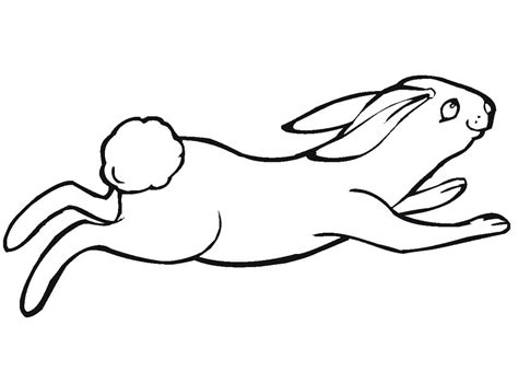 Jumping Jack Rabbit Coloring Page Free Printable Colo