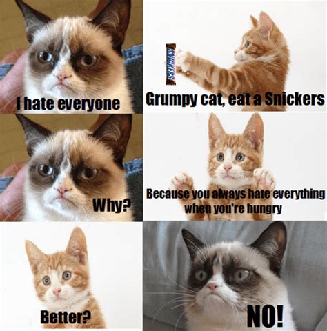 Even Snickers Cant Make The Grumpiness Go Away Grumpy Cat Funny