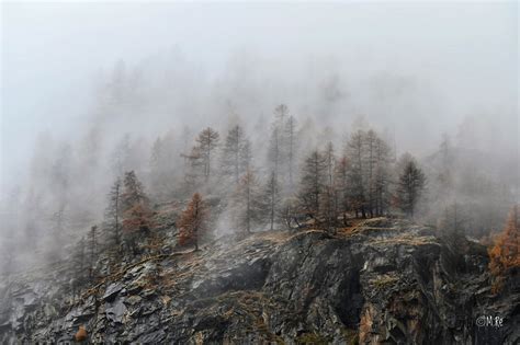 Nebbia In Montagna Juzaphoto