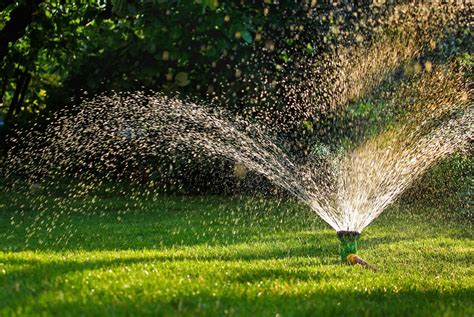 When And How To Water Bermudagrass Perfectly Green Lawn Care