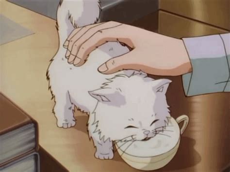 Pin By Joanne Ross On Felidae Cute Anime Cat Anime Scenery Anime