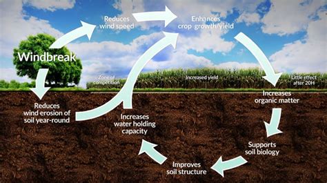 Soil Health Management Rymax Global