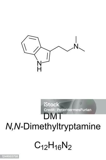 Dmt Dimethyltryptamine Skeletal Formula And Structure Stock
