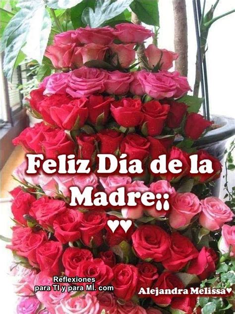 Buenos Deseos Para Ti Y Para MÍ Feliz DÍa De La Madre Ramo De Rosas