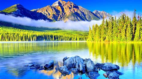 Green Landscape Mountains Green Pine Forest Fog Taggart Lake Blue Water