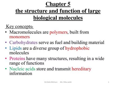 Ppt Chapter 5 The Structure And Function Of Large Biological