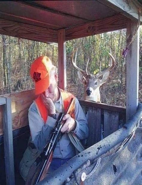Pssst Good Morning Hunting Humor Funny Deer Funny Hunting Pics